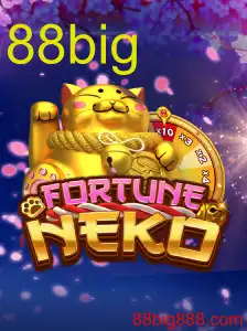 FortuneNeko